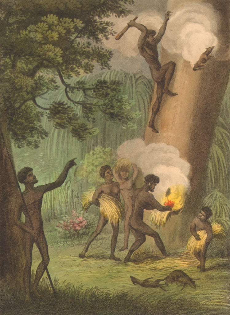 AUSTRALIA ABORIGINES. Smoking out the Opossum. New South Wales (Orme)  1814
